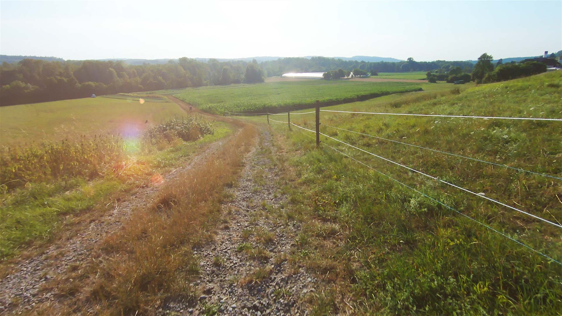 Feldweg Richtung Reuss